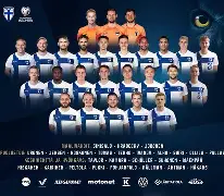 视频直播等服务-巴西世预赛球员名单